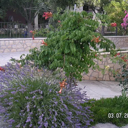 Ljubac 14593d Rtina